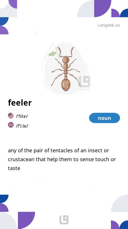 define feelers|FEELER Definition & Meaning .